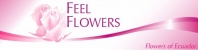feel flowers