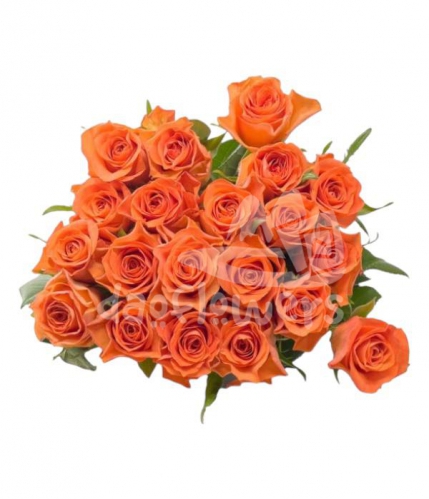 orange wave