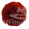 elegance Cioccolato Signature