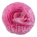 elegance Rosa Standard