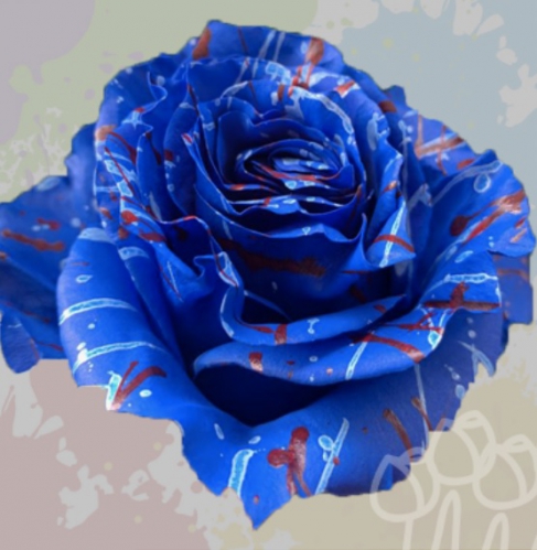 KF 21 Independence Confetti PNT