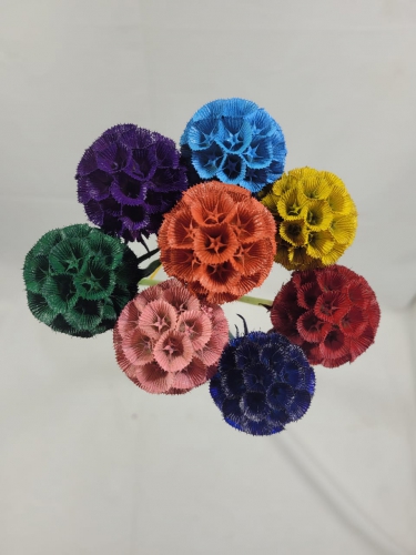 scabiosa PNT mix