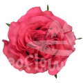 exotix berry