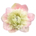 levante rosa chiaro