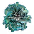 Aquamarine (Conejera) PNT
