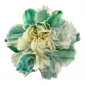 Emerald Dream PNT