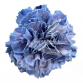 Inspire Blue PNT