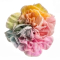 Rainbow Peachy PNT