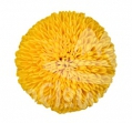 Yellow Cap