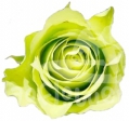 green generation