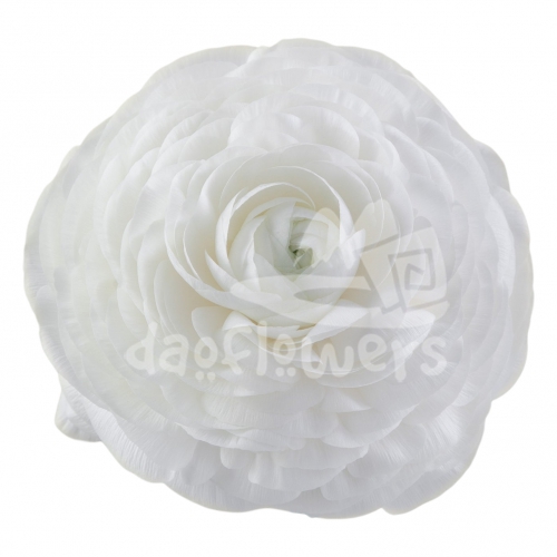 elegance Bianco Standard