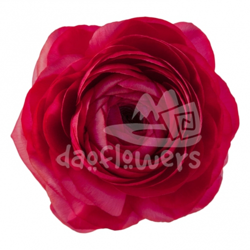 elegance hot pink Standard