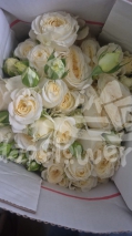 rosemarie*