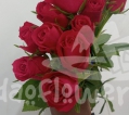 sweet cerise